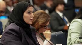 جانب من مشاركة وزير الدولة للتعاون الدولي في الاجتماع