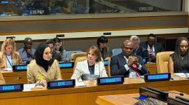 جانب من المشاركة القطرية في الاجتماع