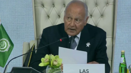 الأمين العام لجامعة الدول العربية  أحمد أبو الغيط