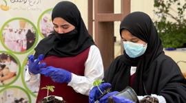 جانب من البرنامج