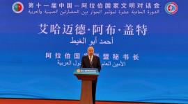 أحمد أبو الغيط الأمين العام للجامعة العربية