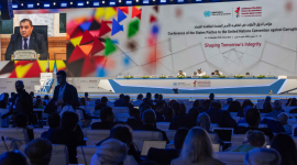 جانب من المؤتمر