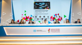 جانب من المؤتمر