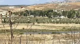 صورة أرشيفية