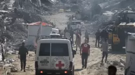 صورة أرشيفية