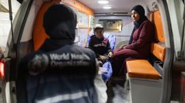 صورة أرشيفية