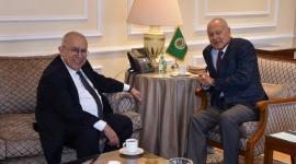 جانب من لقاء أبو الغيط والعمامرة