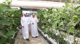 سعادة وزير البلدية خلال الجولة التفقدية