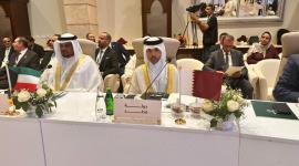 جانب من المشاركة القطرية