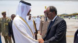 جانب من الاستقبال