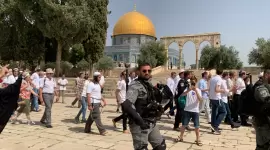 صورة أرشيفية