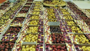 ٢٠٢١٠٧١٥_٢٠٠٧٢٣