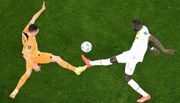 WhatsApp Image 2022-11-21 at 6.24.40 PM.jpeg