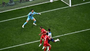 WhatsApp Image 2022-11-21 at 3.53.16 PM.jpeg