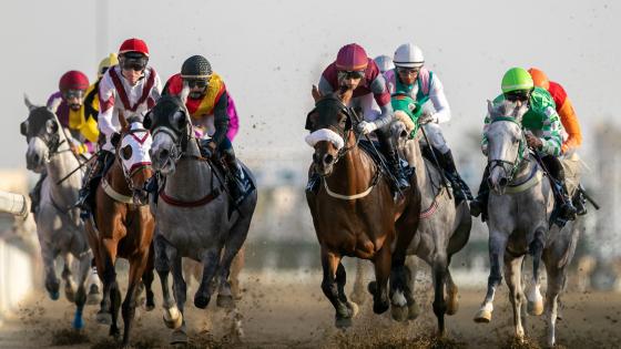 جانب من سباق كأس الديبل للخيل المهجنة الأصيلة إنتاج محلي