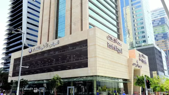 المجلس الأعلى للقضاء