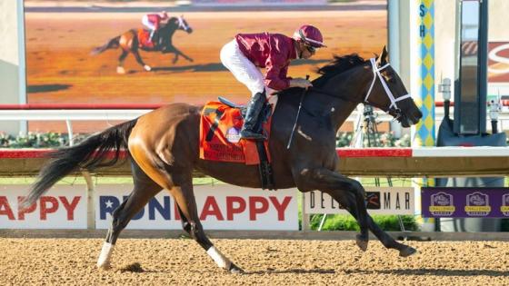 المهرة "شي ديرز ذا ديفل"