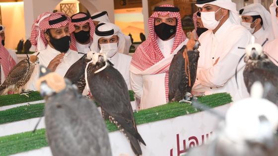 جانب من الزيارة