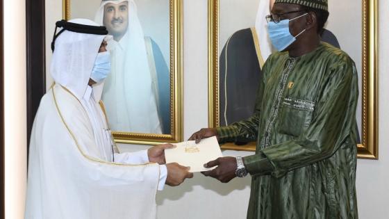 جانب من تسلُم أوراق الاعتماد
