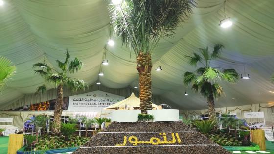 جانب من المعرض