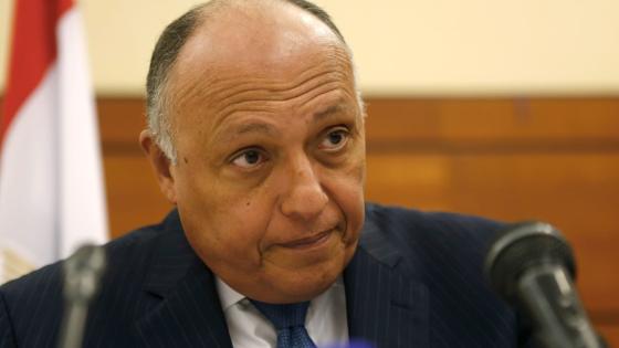 سامح شكري وزير الخارجية المصري