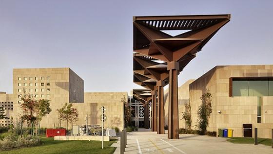 جامعة حمد بن خليفة