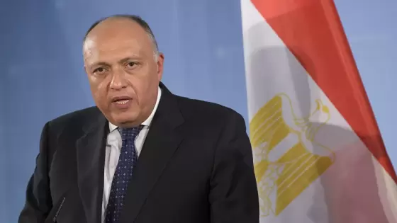 سامح شكري وزير الخارجية المصري