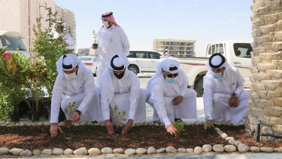خلال المشاركة في حملة التشجير