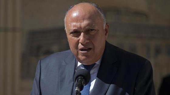 سامح شكري وزير الخارجية المصري