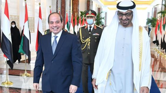 الشيخ محمد بن زايد والرئيس السيسي