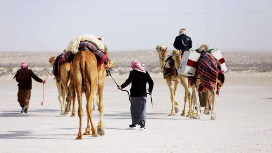 أرشيفية