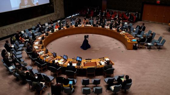 مجلس الأمن الدولي