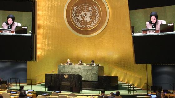 سعادة الشيخة علياء أحمد بن سيف آل ثاني المندوب الدائم لدولة قطر لدى الأمم المتحدة