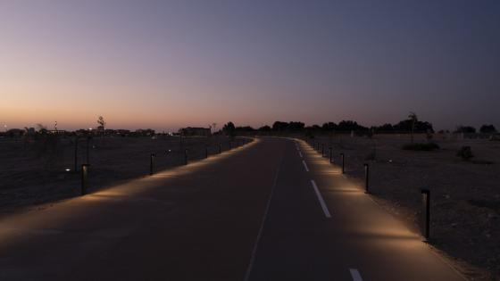 محمية الوادي