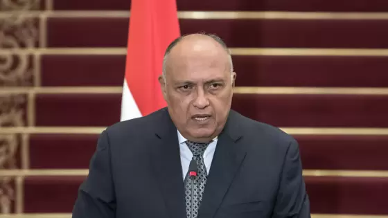 سامح شكري وزير الخارجية المصري