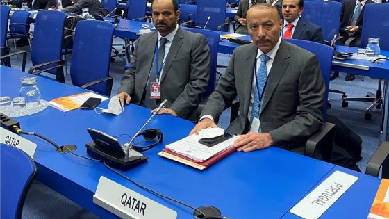 السفير سلطان بن سالمين المنصوري