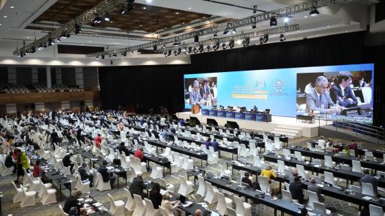 جانب من الجلسة