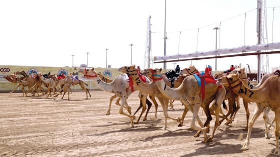 جانب من المنافسات