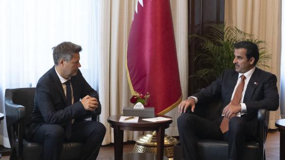 جانب من الاستقبال