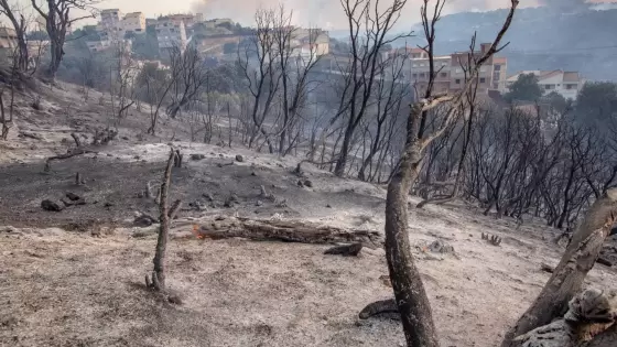 صورة أرشيفية