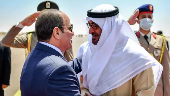 الرئيس المصري ونظيره الإماراتي