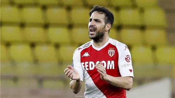 لاعب الوسط الإسباني سيسك فابريغاس