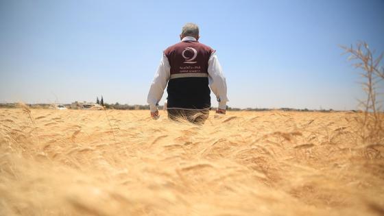 جانب من جهود قطر الخيرية