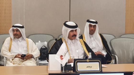 جانب من اللقاء التشاوري