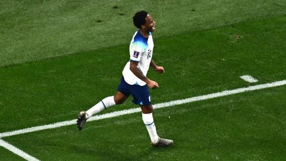 WhatsApp Image 2022-11-21 at 3.57.07 PM.jpeg