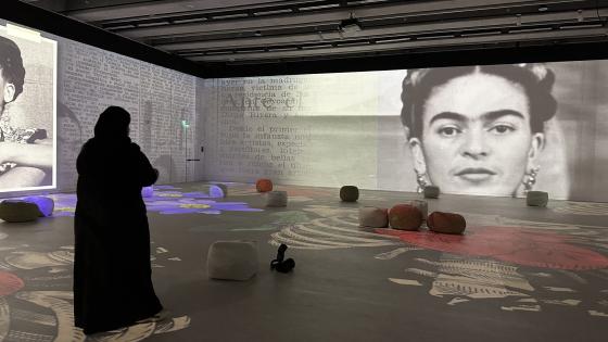 جانب من المعرض