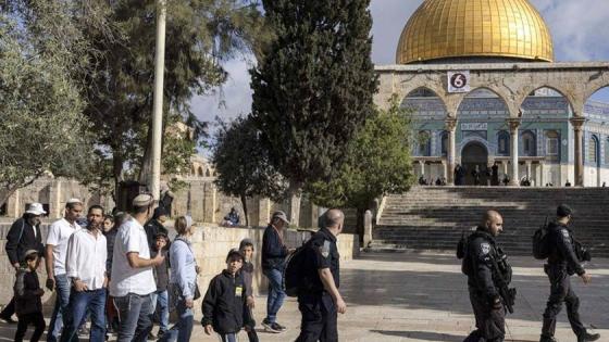 اقتحامات المسجد الأقصى عرض مستمر