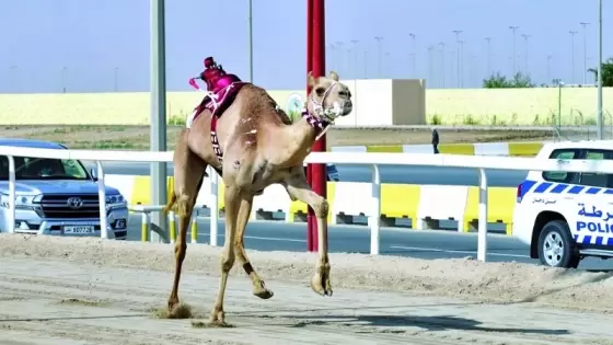 جانب من منافسات المهرجان