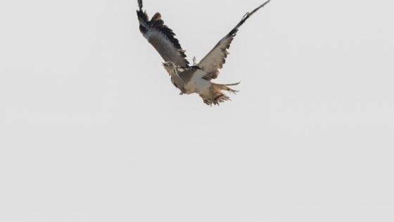 جانب من منافسات البطولة