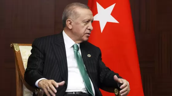 الرئيس التركي رجب طيب أردوغان